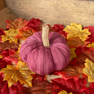 Rose Cable Knit Pumpkin XS